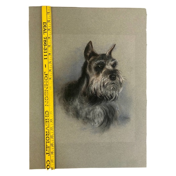 Vintage Pastel Drawing Schnauzer Gray Dog Original Art - Picture 7 of 8